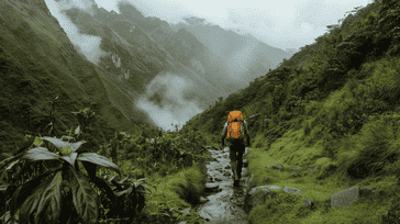 Machu Picchu Memoirs: Trekking Through Peru